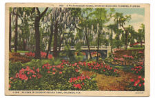 Orlando Florida FL Postcard Dickson Azalea Park picture