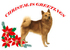 FINNISH SPITZ SINGLE DOG PRINT GREETING CHRISTMAS CARD picture