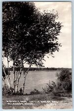Escanaba Michigan MI Postcard RPPC Photo View Of Little Bay De Noc c1930's picture