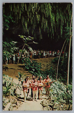 Fern Grotto Show Smith Entertainers In Aloha Shirts 1960s Kauai Hawaii Postcard picture