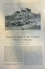 1902 Ancient People of Arizona Petrified Forest illustrated picture