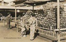 JAPAN - A Chrysanthemum Show Real Photo Postcard rppc picture