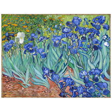 Van Gogh, Irises FRIDGE MAGNET, 1889 Fine Art Reproduction Mini Gift picture