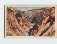 Postcard Grand Canyon From Brink Of Lower Falls Yellowstone National Park USA picture
