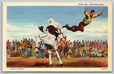 Postcard Elk City Oklahoma Bucking Bronc Horse 