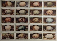 1923 Ogden's Cigarettes Bird's Eggs Cut-Outs Series Of 50 Cards Complete picture