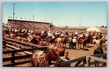 Postcard California Santa Maria Elks Annual Rodeo 5P picture