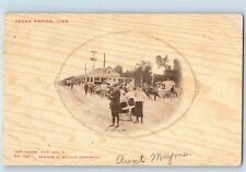 Cedar Rapids Iowa Postcard At The Alamo Crowd Horse Carriage 1907 Posted Antique picture