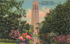 Lake Wales FL Florida, Singing Tower, Mountain Lake Sanctuary, Vintage Postcard picture