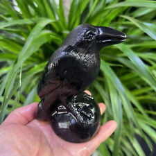 1pc Natural Obsidian Quartz Carved Bird Skull Crystal Reiki Decor Gift 120MM picture