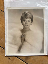 SOPHIA LOREN film star actress - vintage 10x8'' press photo 1950s 1960s RARE picture