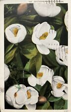 1931 Atlanta GA Southern Magnolia Flowers Postcard Tyrone PA Pennsylvania Floral picture