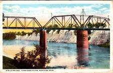 Meridian MS Mississippi 8 MILE BRIDGE~Tombigbee River RAILROAD? ca1920s Postcard picture