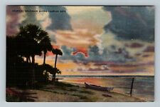 FL-Florida, Tropical Splendor Along Florida Keys, Scenic Vintage Postcard picture