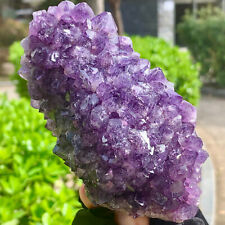 1.05LB  Very Rare Natural Amethyst Flower Cluster Specimen Healing picture