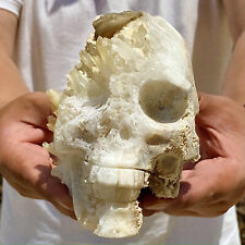 3.69LB Natural crystal cluster quartz mineral specimen hand carved skull picture