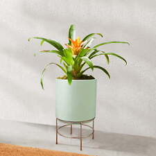 10 in Dia Green Ceramic Planter with Gold Stand picture