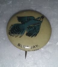 Antique 1896 Whitehead & Hoag American Pepsin Gum CO Blue Jay Pinback picture