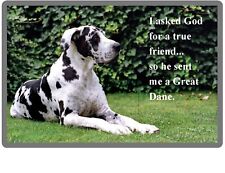 Dog Friend Great Dane Refrigerator Tool Box Magnet Gift Card Idea picture