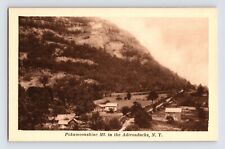 Postcard New York Adirondacks NY Mt Pokamoonshine Poke-O-Moonshine 1920s Sepia picture
