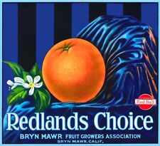 Redlands Choice Orange San Bernardina California Citrus Fruit Crate Label Print picture