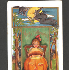 Merry Halloween Witch 1912 Pumpkin Jack-O-Lantern Cat Whitney WH43 (2) PostCard picture