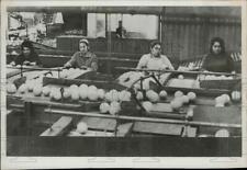1969 Press Photo Jewish women work at citrus packing plant in Galilee, Israel picture