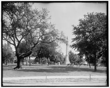 Photo:Confederate Park, Pensacola, Fla. picture