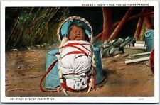 Snug As A Bug In A Rug Pueblo Indian Papoose Cradle Carrier Baby Postcard picture