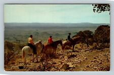 Rio Grande Valley Big Bend National Park Trail Ride Vintage Texas c1967 Postcard picture