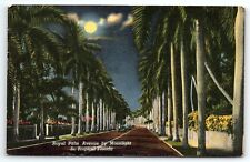 1940s MIAMI FL ROYAL PALM AVE BY MOONLIGHT TROPICAL FLORIDA POSTCARD P2645 picture