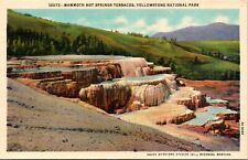 Mammoth Hot Springs Terraces Yellowstone National Park Linen Postcard picture