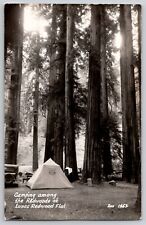 Camping Lanes Redwood Flat Tent Car CA California RPPC Photo Postcard Zan 1930s picture