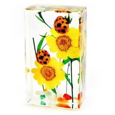 REAL Ladybugs preserved with flowers resin display picture
