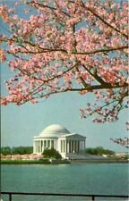 Vtg Cherry Blossoms in the Spring Thomas Jefferson Memorial in Washington, D. C. picture