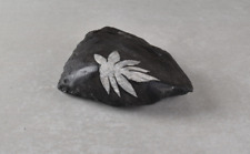 Chrysanthemum Stone from China  7.0 cm   # 19486 picture
