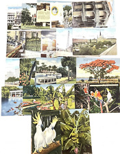 Vintage Souvenir Postcard  Lot of 22 Linen Florida New Orleans Cuba All Unposted picture