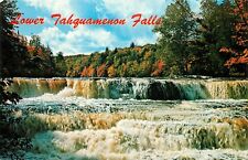 Lower Tahquamenon Falls River State Park Newberry Paradise Michigan Postcard picture