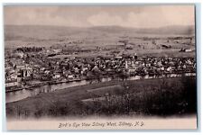 c1905 Bird's Eye View Sidney West Sidney New York NY Unposted Antique Postcard picture