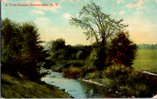 Vintage C. 1910 Fishing Trout Stream Schenectady New York NY Postcard Field View picture