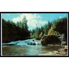 Postcard MD Garrett County Swallow Falls State Forest picture