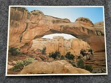 Hickman Natural Bridge, stands 125 feet tall, Capitol Reef Park Vintage Postcard picture