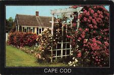 Cape Cod Massachusetts, Cape Cod Cottage & Roses, Trellis Arch, Vintage Postcard picture
