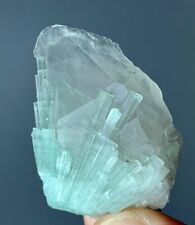 95 Cts Natural Tourmaline Crystal Specimen From Afghanistan picture