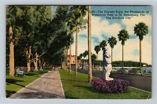 St. Petersburg FL-Florida Waterfront Park Classic Cars Bay Linen c1955 Postcard picture