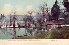 pre-1907 THE MERE ON THE OLD WILLIAM CULLEN BRYANT PLACE, ROSLYN, L. I. picture