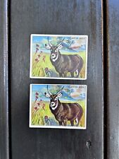 1909-11 Hassan Animals Series Tobacco T29 Blank Back Variation Water Buck picture