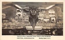 PC1/ Eagle Bay Adirondacks New York RPPC Postcard c1949 Teich's Trading Post 149 picture