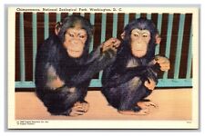 Washington D.C. National Zoological Park Chimpanzees Linen Postcard picture
