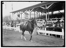 Photo:Miss Helen Morton,Horse Show,Washington,DC,District of Columbia,1914 picture